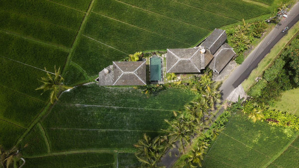 Jalan dan bangunan di antara sawah di Bali dari udara